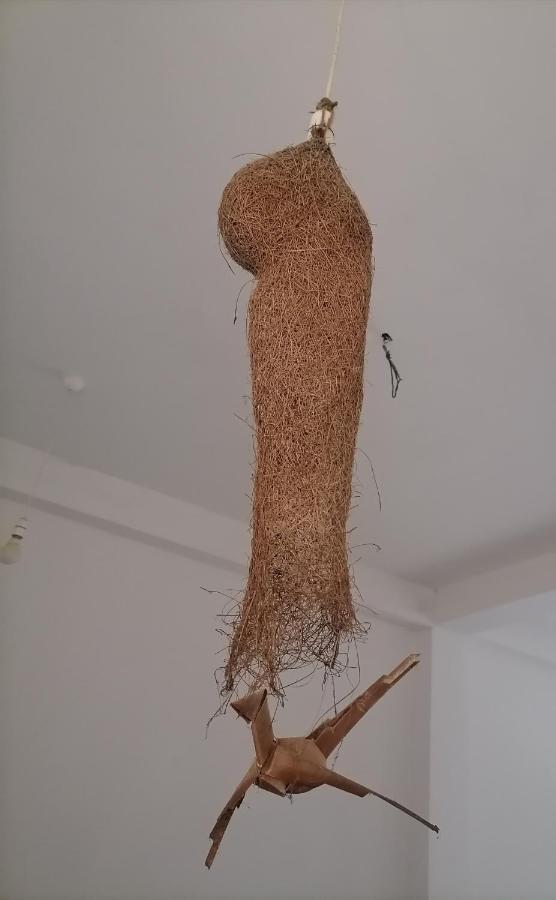 Hiriketiya Hasmal House Daire Dikwella Dış mekan fotoğraf